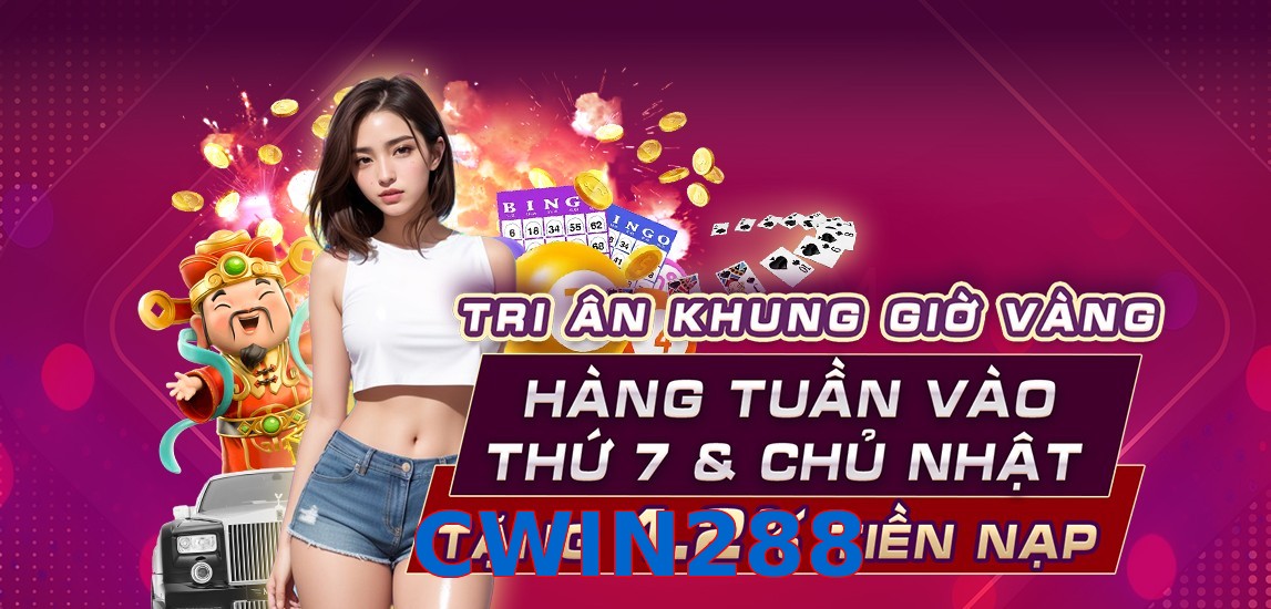 CWIN288