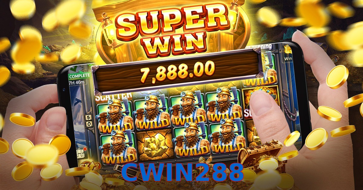 CWIN288