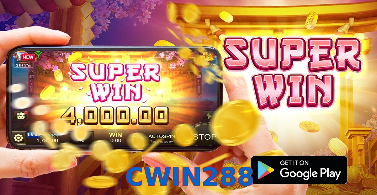 CWIN288