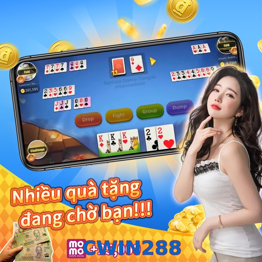 CWIN288