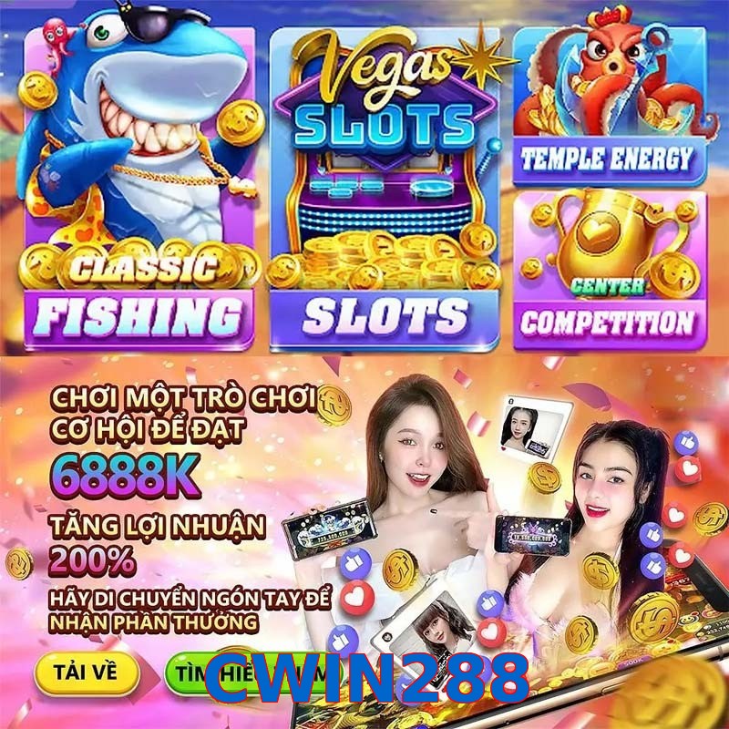 CWIN288