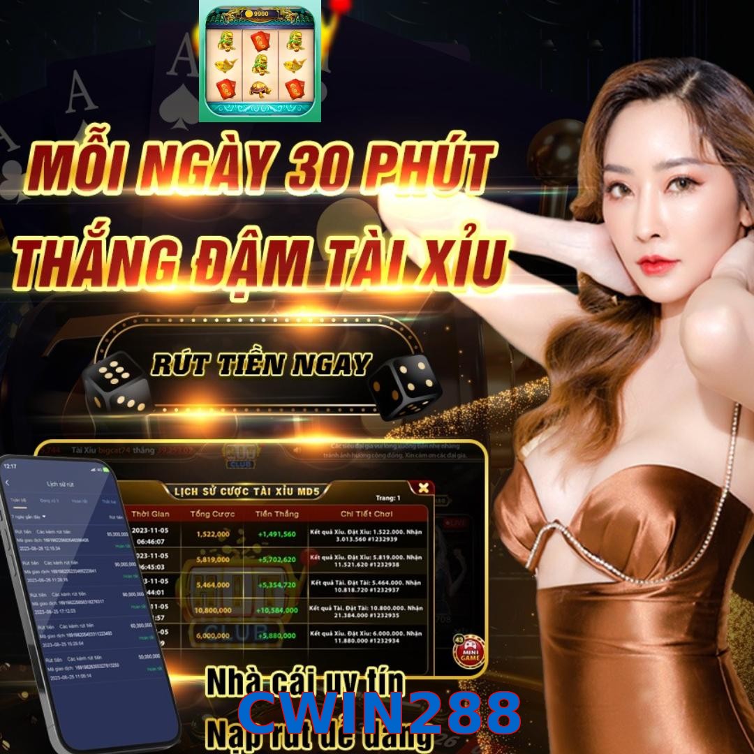 CWIN288