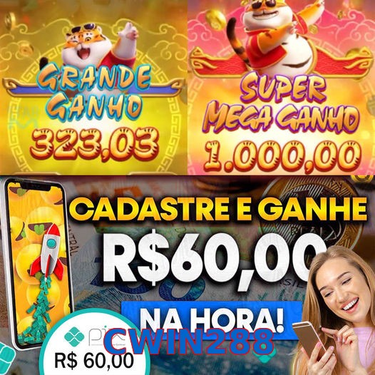 CWIN288