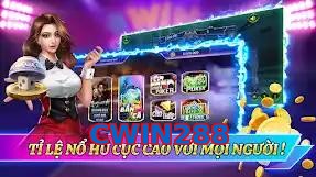 CWIN288