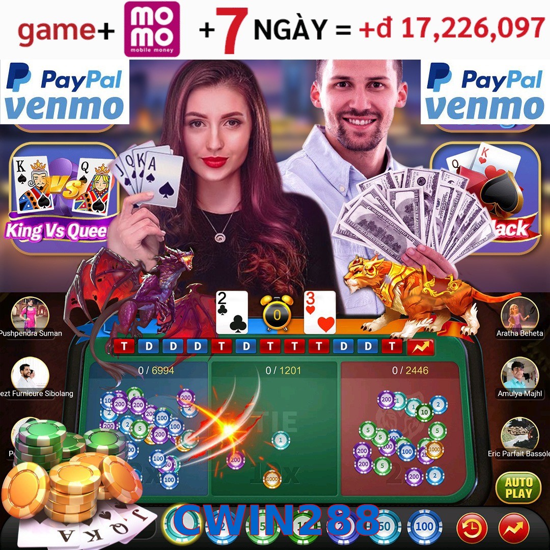 CWIN288