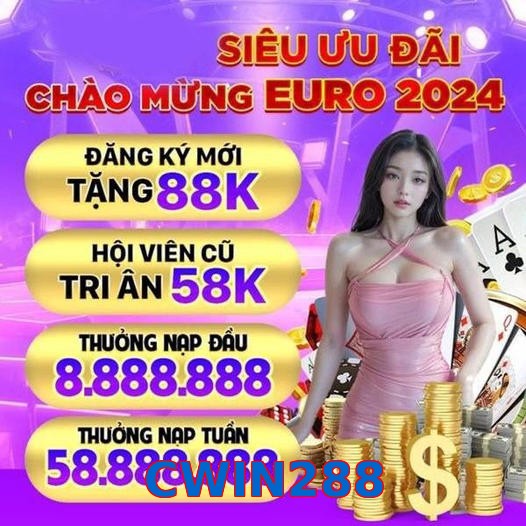 CWIN288