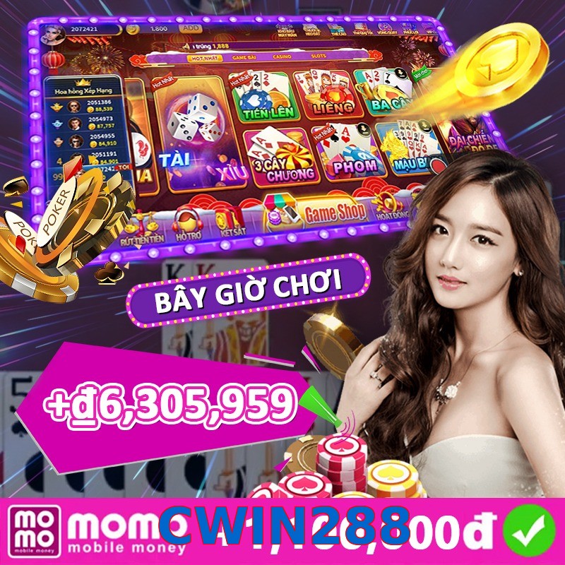 CWIN288