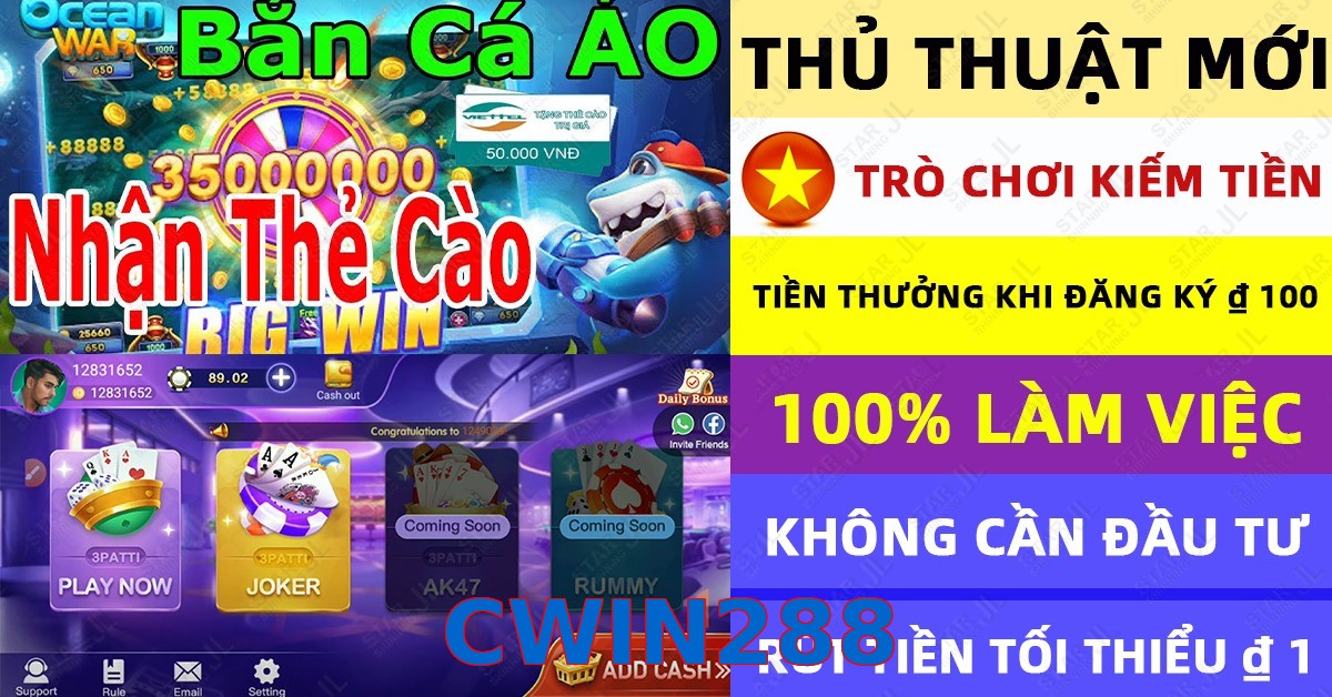 CWIN288