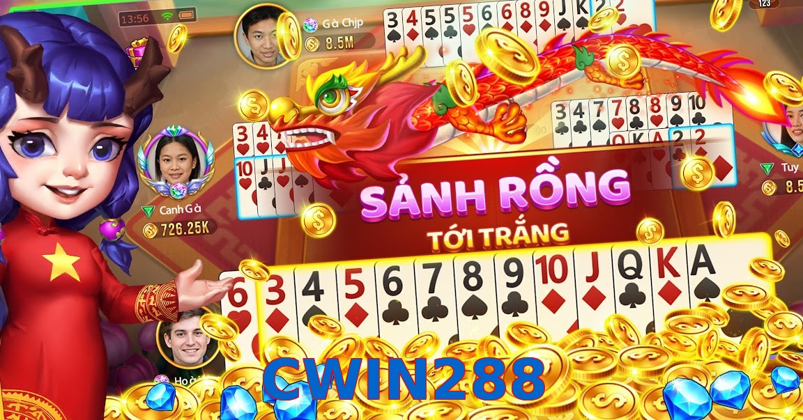 CWIN288