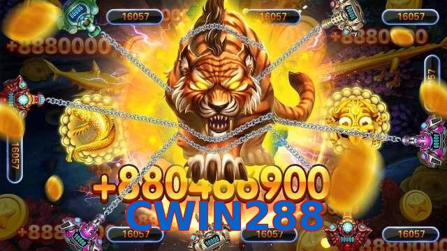 CWIN288