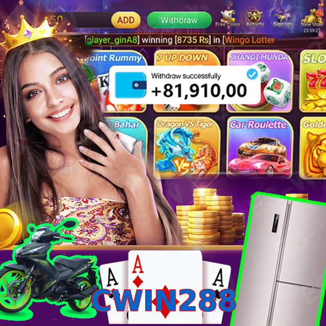 CWIN288