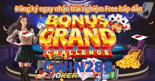 CWIN288