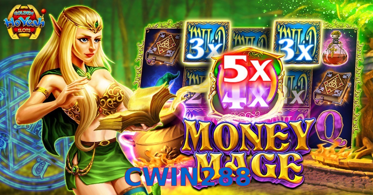 CWIN288
