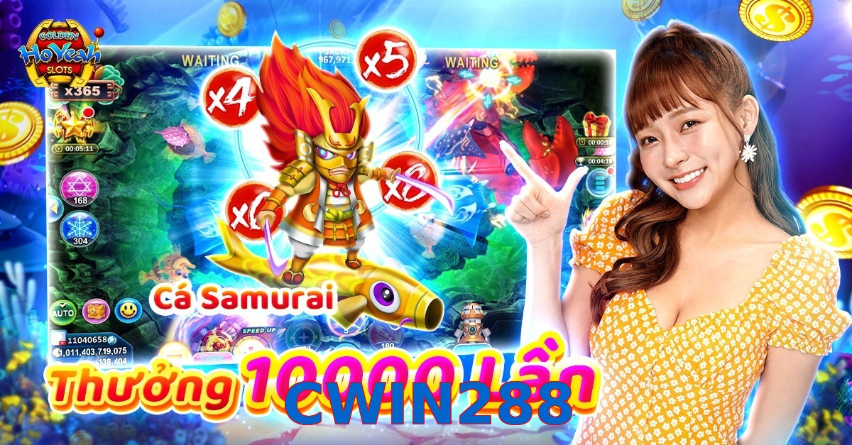 CWIN288