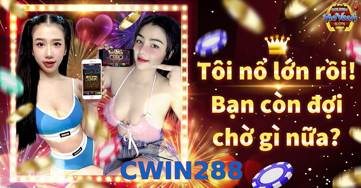 CWIN288
