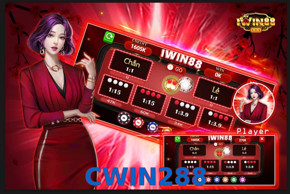 CWIN288