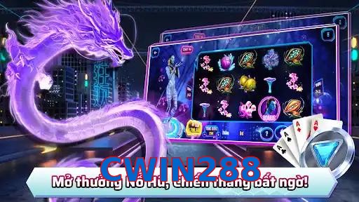 CWIN288
