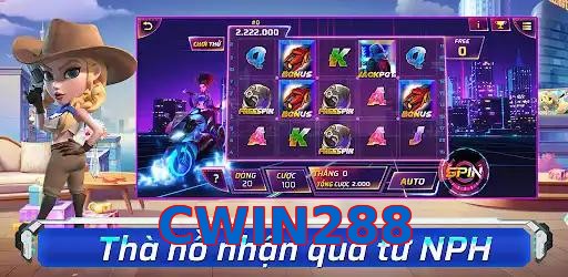 CWIN288