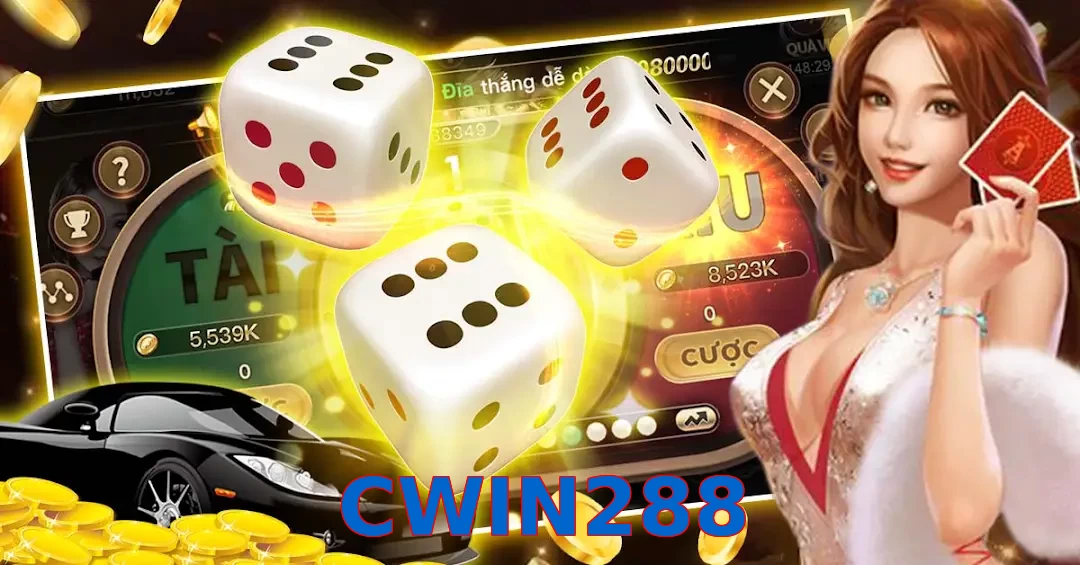 CWIN288