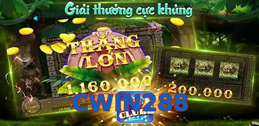 CWIN288