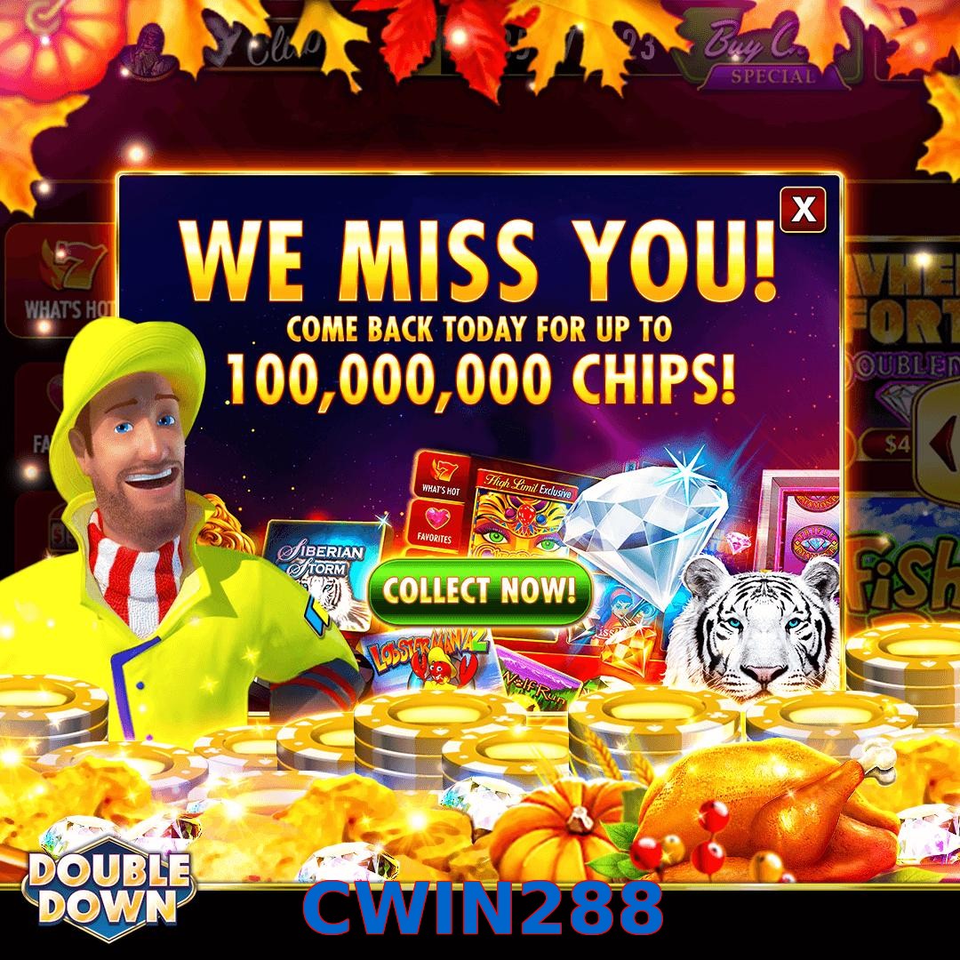 CWIN288