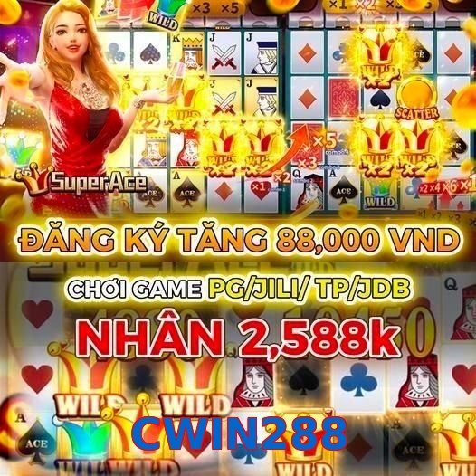 CWIN288