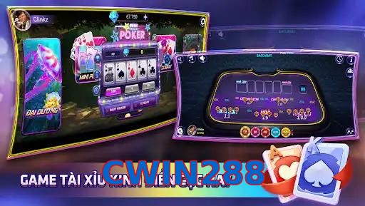 CWIN288