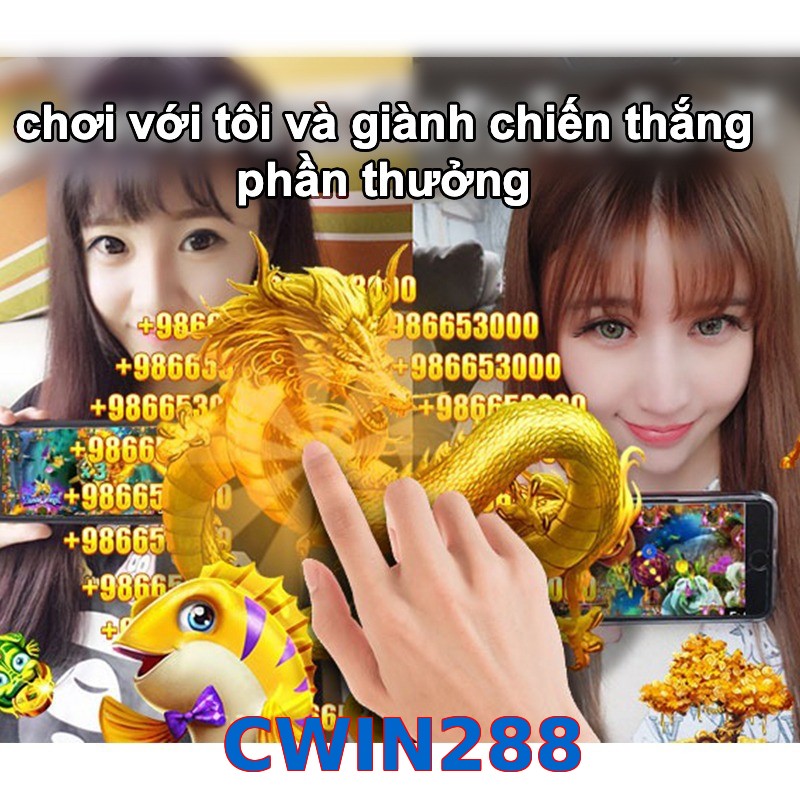 CWIN288