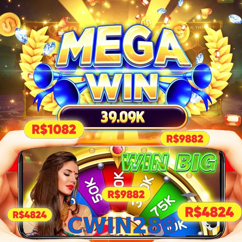 CWIN288