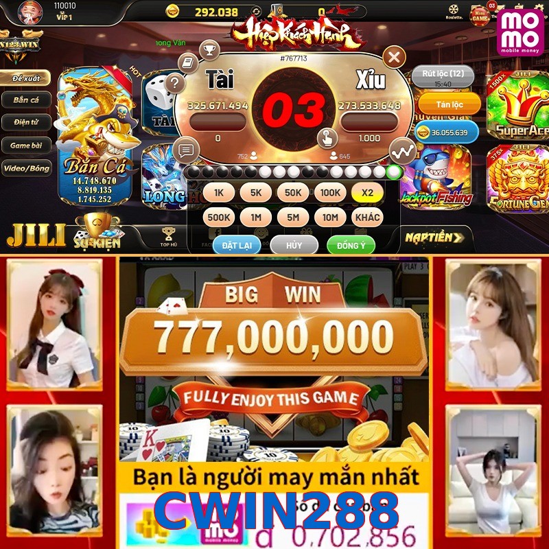 CWIN288