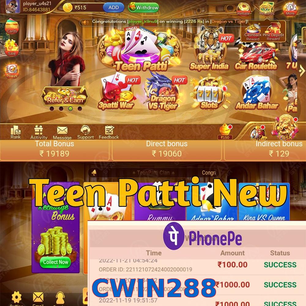 CWIN288