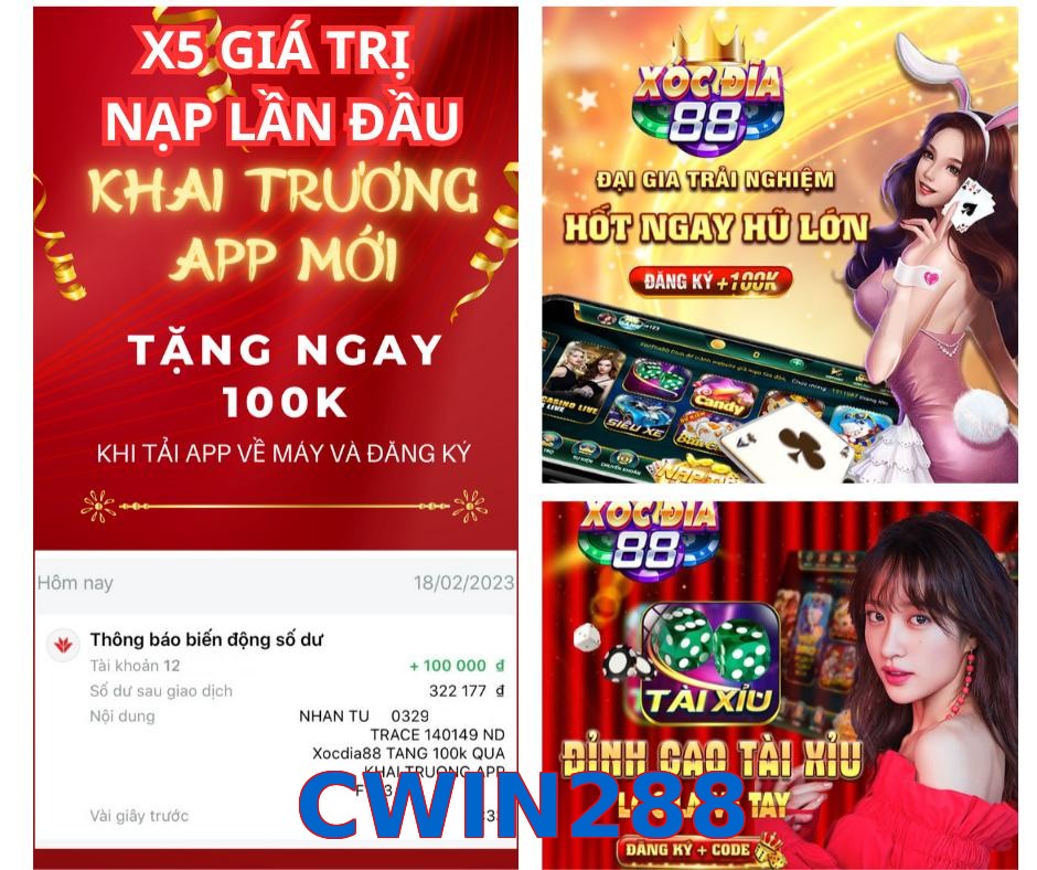 CWIN288