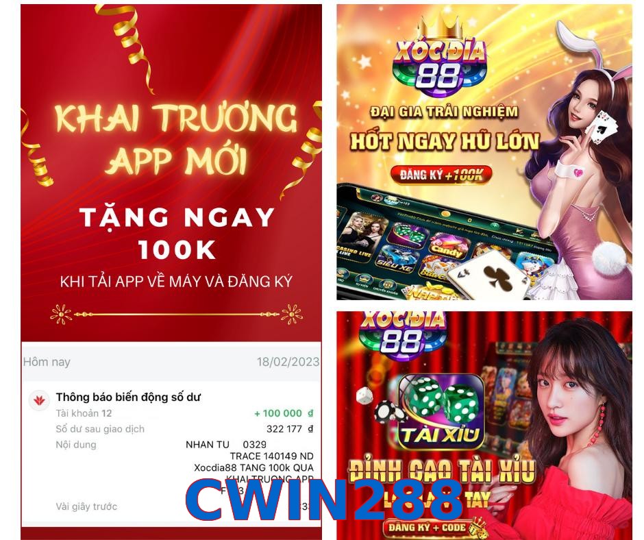 CWIN288