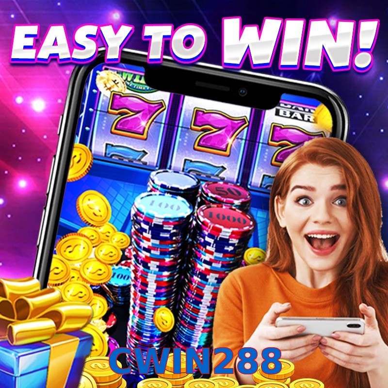 CWIN288